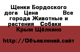 Щенки Бордоского дога › Цена ­ 60 000 - Все города Животные и растения » Собаки   . Крым,Щёлкино